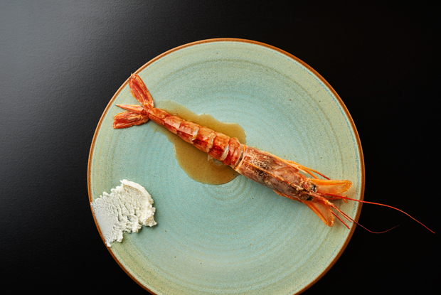 Villanos en Bermuda -LATAM-2017-DISH1